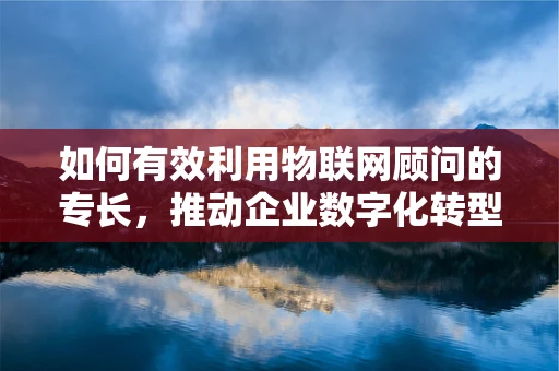 如何有效利用物联网顾问的专长，推动企业数字化转型？