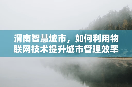 渭南智慧城市，如何利用物联网技术提升城市管理效率？