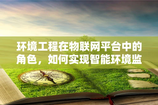 环境工程在物联网平台中的角色，如何实现智能环境监测与治理？