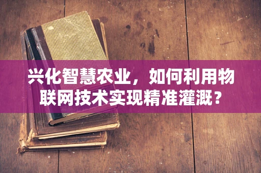 兴化智慧农业，如何利用物联网技术实现精准灌溉？