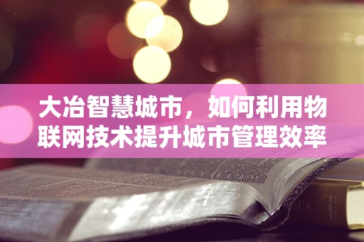 大冶智慧城市，如何利用物联网技术提升城市管理效率？