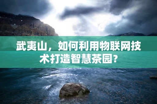 武夷山，如何利用物联网技术打造智慧茶园？