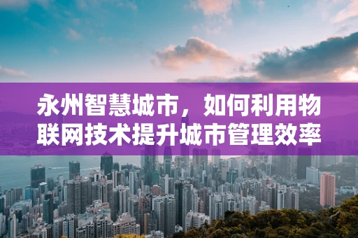 永州智慧城市，如何利用物联网技术提升城市管理效率？