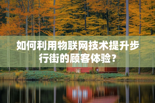 如何利用物联网技术提升步行街的顾客体验？