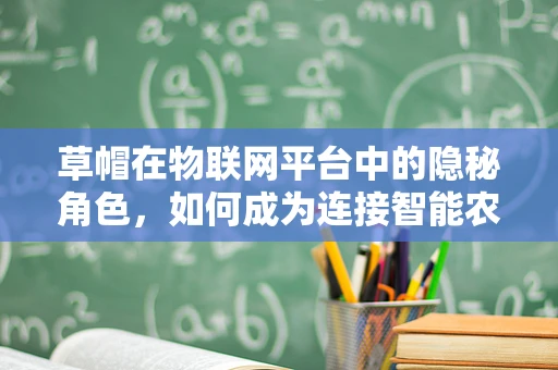 草帽在物联网平台中的隐秘角色，如何成为连接智能农业的桥梁？