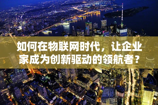 如何在物联网时代，让企业家成为创新驱动的领航者？