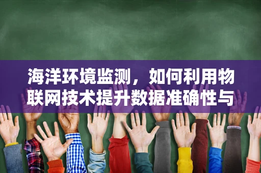 海洋环境监测，如何利用物联网技术提升数据准确性与实时性？