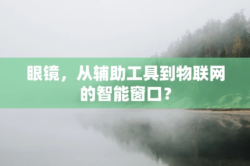 眼镜，从辅助工具到物联网的智能窗口？