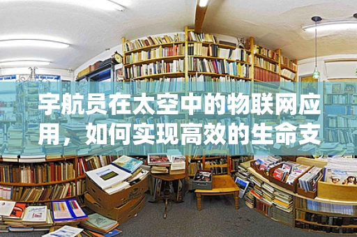 宇航员在太空中的物联网应用，如何实现高效的生命支持系统？