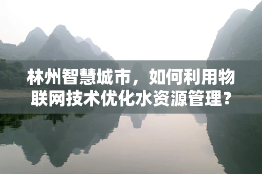 林州智慧城市，如何利用物联网技术优化水资源管理？