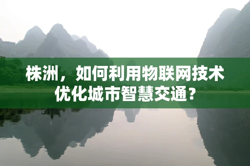 株洲，如何利用物联网技术优化城市智慧交通？