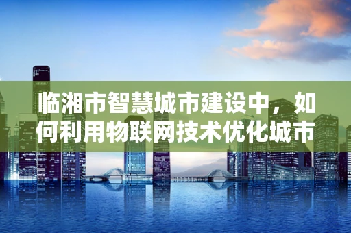 临湘市智慧城市建设中，如何利用物联网技术优化城市管理？