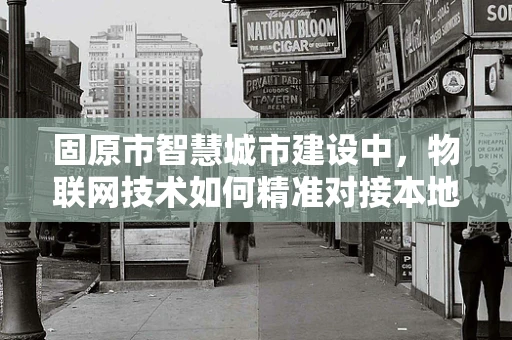 固原市智慧城市建设中，物联网技术如何精准对接本地需求？