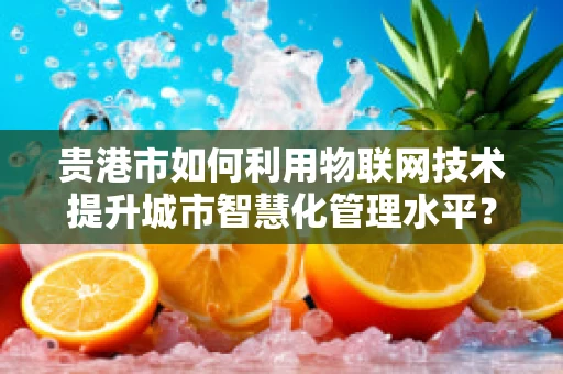 贵港市如何利用物联网技术提升城市智慧化管理水平？