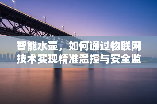 智能水壶，如何通过物联网技术实现精准温控与安全监控？