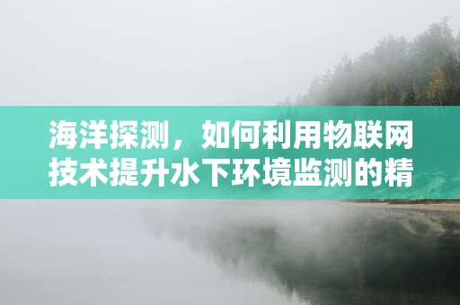 海洋探测，如何利用物联网技术提升水下环境监测的精准度？