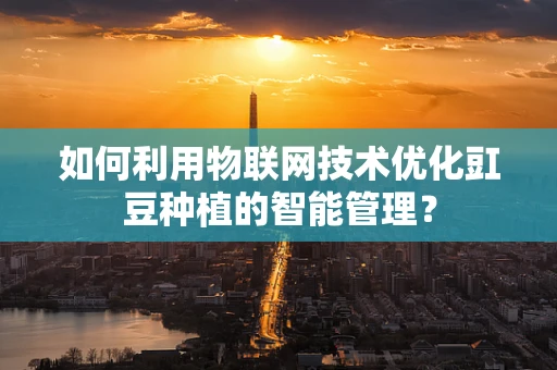 如何利用物联网技术优化豇豆种植的智能管理？