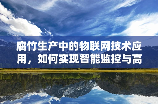 腐竹生产中的物联网技术应用，如何实现智能监控与高效管理？