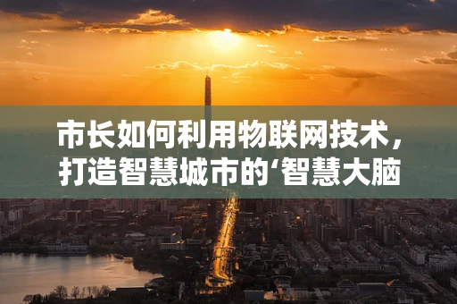 市长如何利用物联网技术，打造智慧城市的‘智慧大脑’？