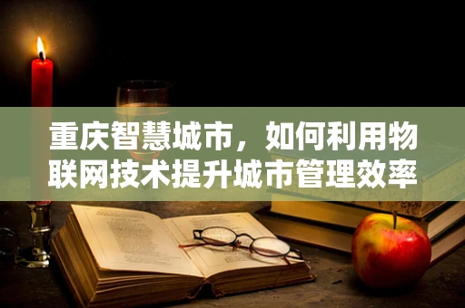 重庆智慧城市，如何利用物联网技术提升城市管理效率？