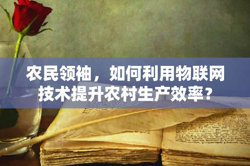 农民领袖，如何利用物联网技术提升农村生产效率？