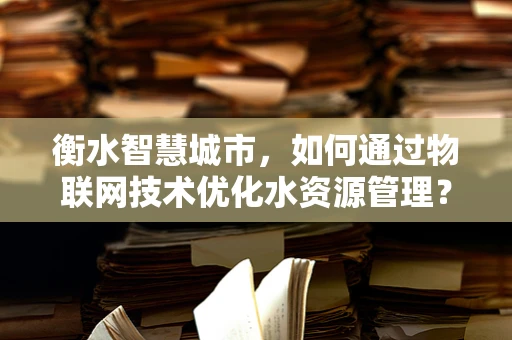 衡水智慧城市，如何通过物联网技术优化水资源管理？