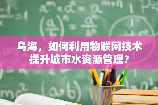 乌海，如何利用物联网技术提升城市水资源管理？