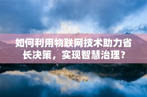 如何利用物联网技术助力省长决策，实现智慧治理？