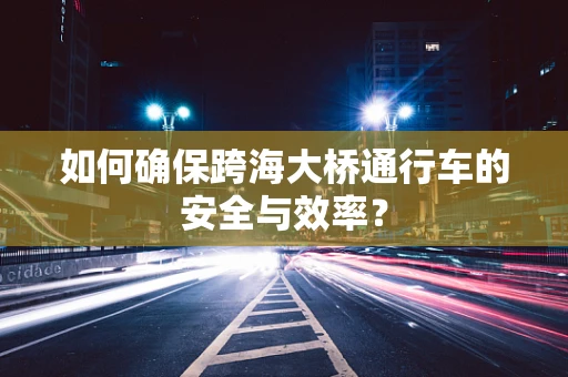 如何确保跨海大桥通行车的安全与效率？