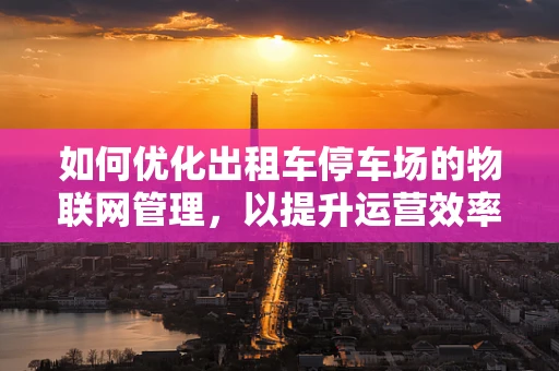 如何优化出租车停车场的物联网管理，以提升运营效率？