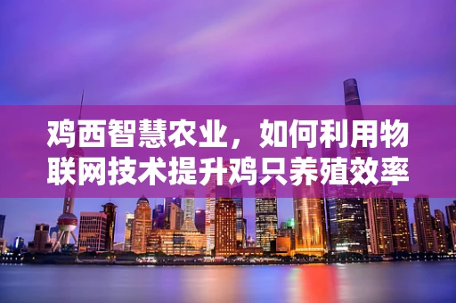 鸡西智慧农业，如何利用物联网技术提升鸡只养殖效率？