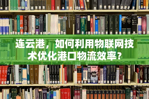 连云港，如何利用物联网技术优化港口物流效率？